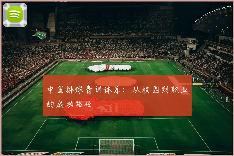 中国排球青训体系：从校园到职业的成功路径