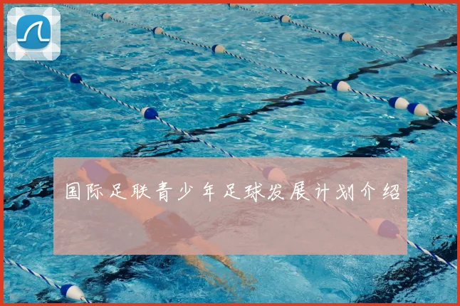 国际足联青少年足球发展计划介绍