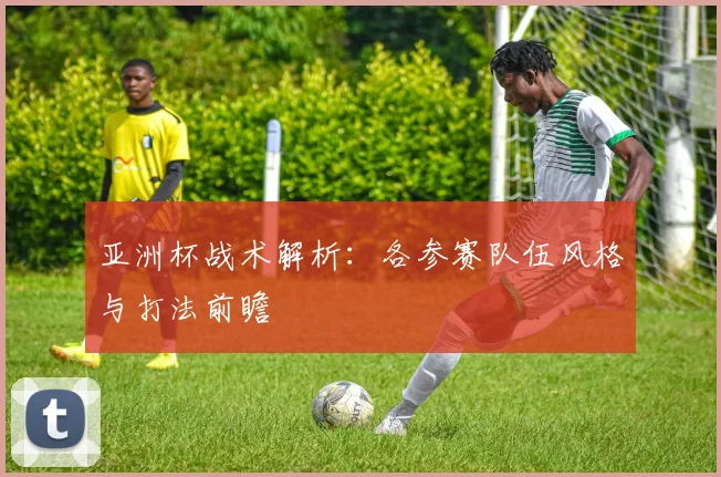 亚洲杯战术解析:各参赛队伍风格与打法前瞻